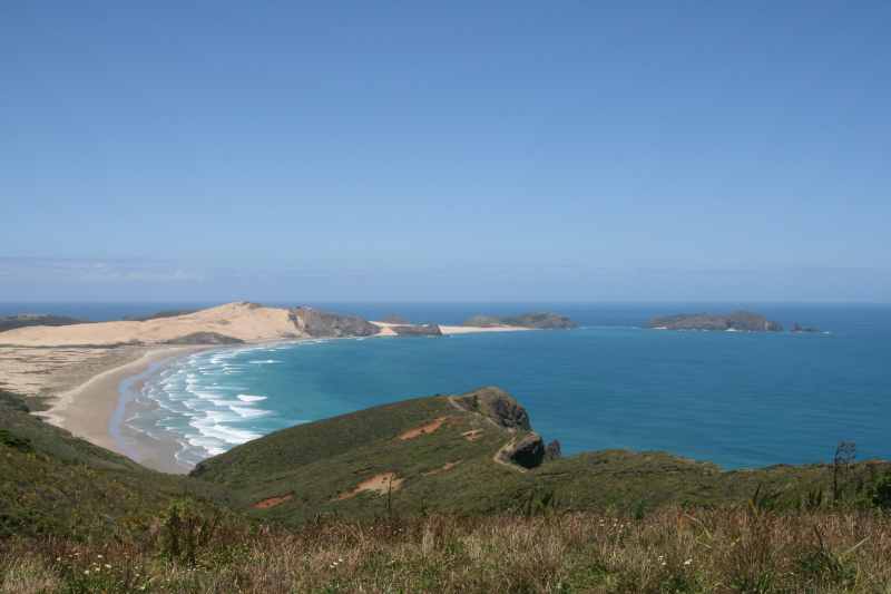 Nieuw-Zeeland 2011 - 0338